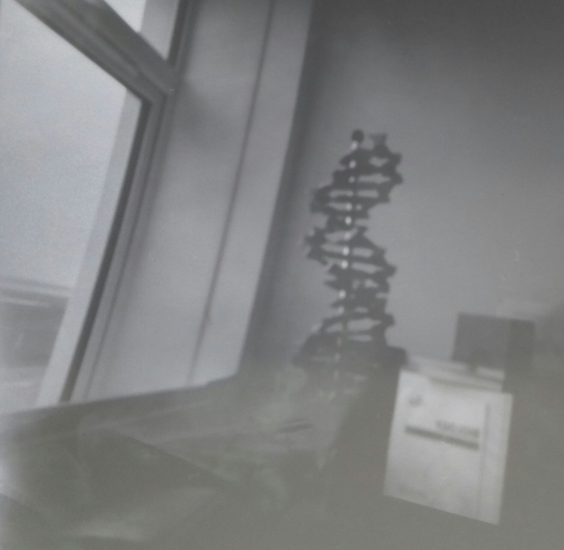 Pin hole camera DNA molecule
